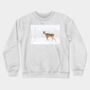 Spring Fever Crewneck Sweatshirt